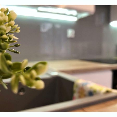 Apartament Przy Ratuszu เชชูฟ ภายนอก รูปภาพ